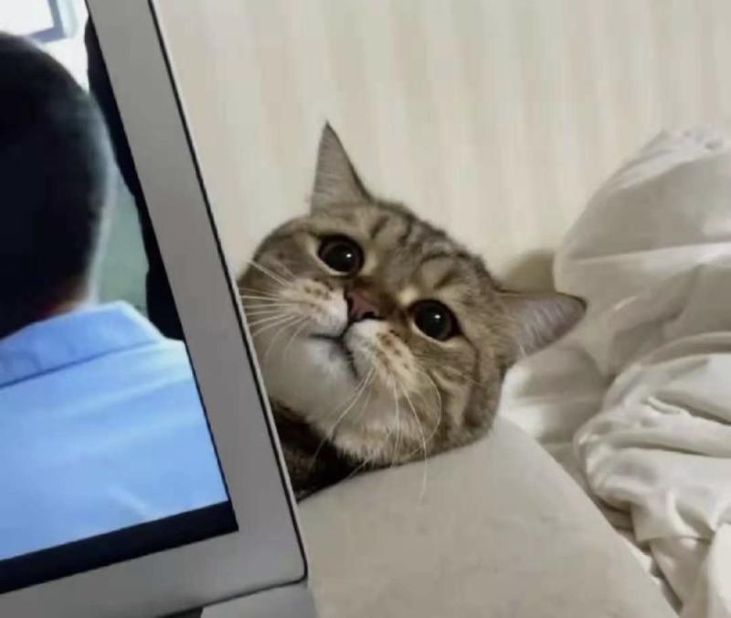 張楠