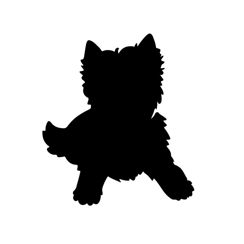 Westie Studio