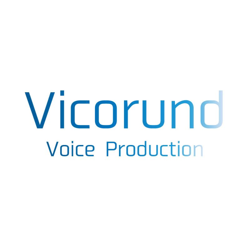 合同会社Vicorund