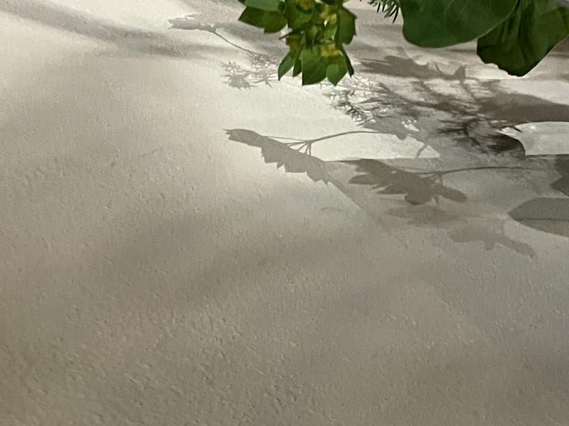 藻谷