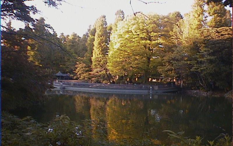真島凜太郎