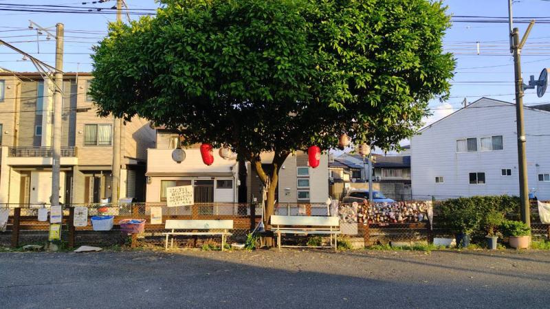 自主映画